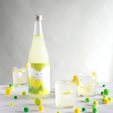 손**님 개인 결제창