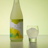 손**님 개인 결제창