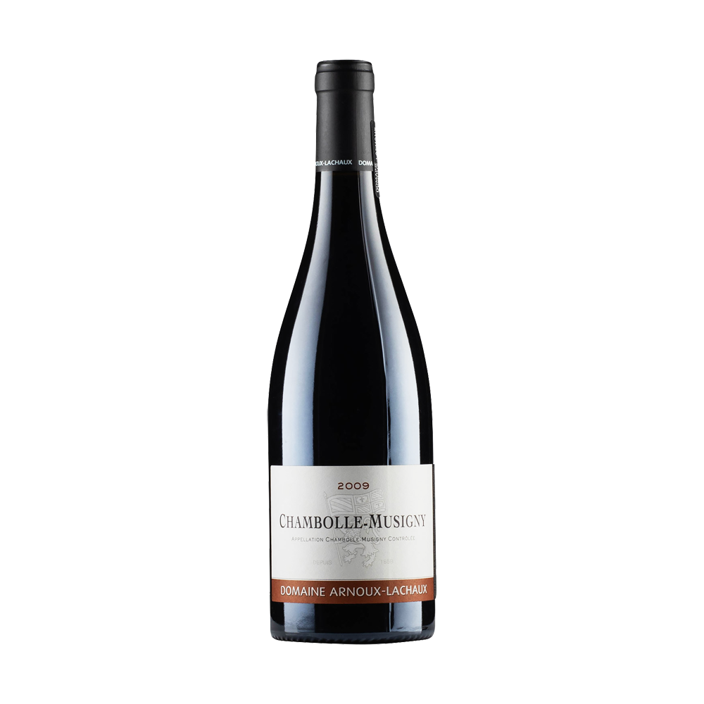 13825-domaine-arnoux-lachaux-